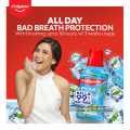 Colgate Plax Antibacterial Mouthwash - Fresh Mint, No-Alcohol, Long-Lasting Freshness, Twin Pack, 1L. 