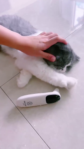 Thú y cấp Nhiệt kế kỹ thuật số cho động vật noncontact thiết kế kết quả nhanh có thể sạc lại ABS