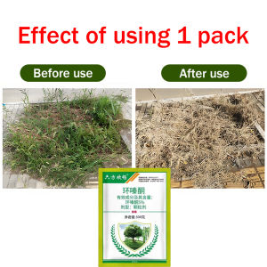 racun herba Weeds died overnight Weed killer 500g Effective Weed Control Grass killer No damage to the soil Tree root killer Kill big tree and bamboo 100% root rot Racun rumput paling kuat cepat mati Racun pokok kayu besar Hexazinone herbicide 除草剂