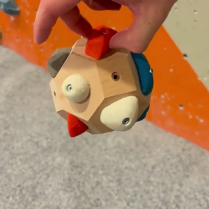 Customizable Rock Climbing Training Tool with Adjustable Resin Holds for All Skill Levels