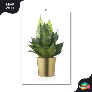 TENNESY HIASAN DINDING BUNGA BOTANICAL SANSEVIERA 20x30CM WALL DECOR PAJANGAN KAYU KAMAR RUMAH