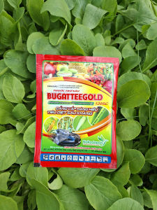 [VTNN TIEN KHOA] BUGATTEEGOLD 120SC Của Naka Nhật Bản – Trừ Sâu Cuốn Lá Sâu Tơ Rầy Xanh Bọ Trĩ Hiệu Quả