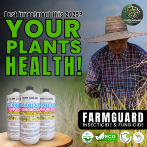 FARMGUARD 2-IN-1 500ML ORGANIKONG INSEKTISIDYO AT FUNGISIDYO [ FARM GUARD Premium] [BEST OPTION]