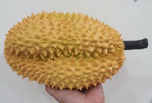 1 Quả sầu riêng giả giống như thật size lớn - trái cây giả - TUYET XUAN SHOP
