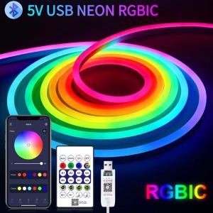 5V USB RGBIC Running Lights Bluetooth App Remote Control Dimming Change Color Music Sync Dreamcolor Chasing Strip LED RGB DIY Waterproof Flexible Light Home Decor for Outdoor