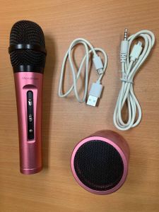 Karaoke Singing Dual  Bluetooth Microphone with Mic speaker