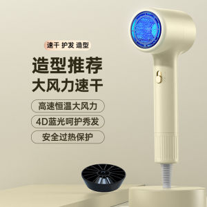 AE Household hair dryer 110V US standard Japanese standard Taiwan hair dryer European standard British standard 230V Hair dryer