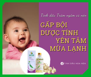 Tinh dầu tràm Hoa Nén 50ml nguyên chất được ngâm thêm củ Nén - Dầu tràm giúp giữ ấm phòng ho sỗ mũi cảm lạnh cho bé hiệu quả. Tinh dầu tràm cho bé - Có kiểm định- Hoả Tốc
