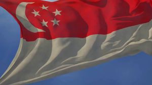 2PC 144x96cm Singapore National Flag Upgrade Quality Large Hanging Flag National Day Indoor Outdoor Decor