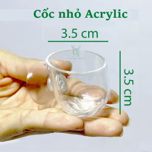 Cốc trồng cây thuỷ sinh | Cốc trồng cây Acrylic  Thủy tinh