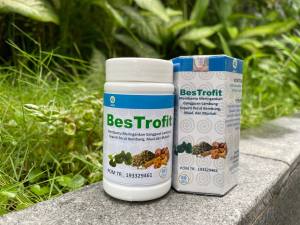 BESTROFIT OBAT HERBAL LAMBUNG