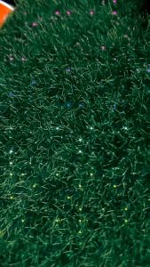 Momoko Stainless Steel  Black Gold Cross Pendant