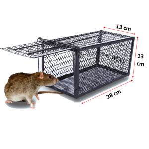 Rat trap กรงดักหนู ดักง่าย ไม่ต้องฆ่า บรรจุหนูได้1-2ตัวโดยไม่อึดอัด กับดักหนู กรงดักมิกกี้เม้าส์
