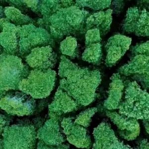 扩香机  Fragrant wood diffuser2025车载扩香木扩香器持久留香汽车香水出风口香薰车内用香氛 。。。