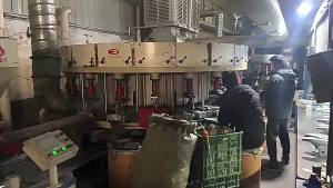 2025 Giày thể thao nam mùa xuân và mùa thu mới thoáng khí màu trắng kiểu dáng thấp buộc dây phía trước nhẹ mũi tròn [ Miễn Phí Vận Chuyển ]