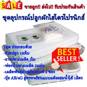🌱 ชุดอุปกรณ์ปลูกผักไฮโดรโปนิกส์ครบชุด 🌱 ประกอบด้วย: ถ้วยปลูก 200ใบ ปุ๋ย AB คุณภาพสูง เมล็ดพันธุ์สลัดคุณภาพดี 2 ซอง ถาดเพาะเมล็ด 3 ใบ ฟองน้ำเพาะเมล็ด 3 แผ่น 💰 ราคาถูกที่สุด! ส่งไว! คุณภาพเยี่ยม!✨ ในราคาที่คุณไม่ควรพลาด!