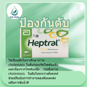 Heptral 500mg Tablets Boost Liver Health Reduce Fatigue and Support Detox