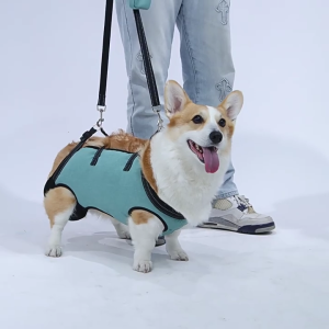Full Body Support Dog Lift Harness with Ergonomic Designs For Elderly Dog with Shock Absorption And Adjustable Strap