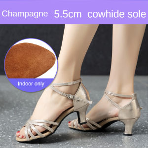 New Latin Ballroom Cha Cha Bullfight Waltz Dance Shoes