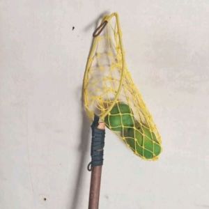 Alat Bantu Memetik Buah Mangga Alpukat Srikaya Sawo Kedondong