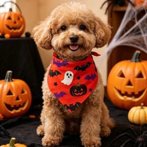HCHC MALL Polyester Khăn quàng cổ Halloween cho thú cưng In hình ma bí ngô Mẫu Dơi Nhện Khăn tam giác cho chó Nhẹ Chống phai màu Vòng cổ trang trí cho chó con Phụ Kiện Thú Cưng Halloween
