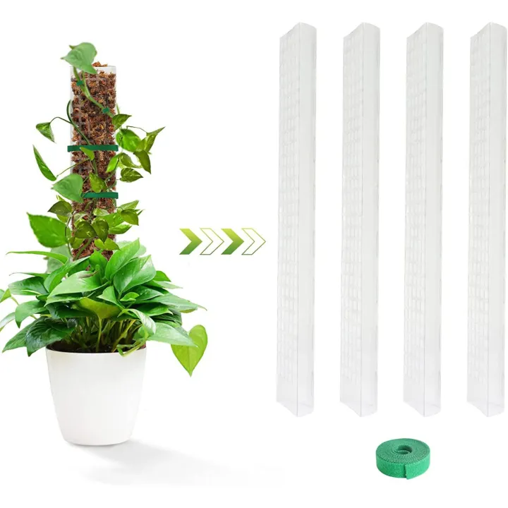 LZD%2024%20Inch%20Plant%20Plastic%20Moss%20Pole%20Plant%20Pile%20and%20Mud%20Moss%20Support%20Climbing%20Plant%20Pole%20Moss%20Pole%20-%20Image%202