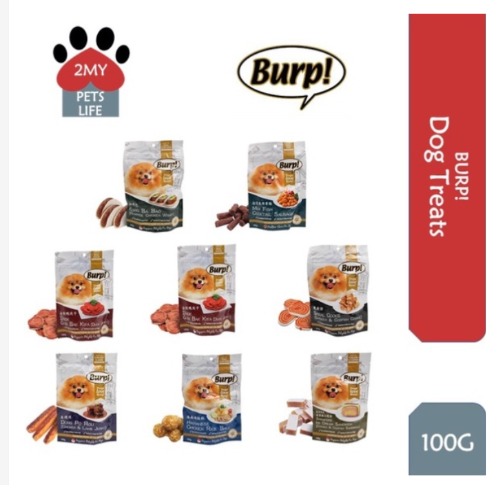 Burp Asian Delight Dog Treats Snacks 100g Lazada