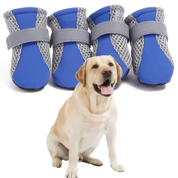 Buy Dog Shoes For Labrador online Lazada .ph