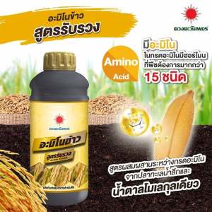 ปุ๋ยน้ำ อะมิโนข้าว สูตรรับรวง น้ำตาลทางด่วน บำรุงรวง เมล็ดใหญ่ ขนาด 1 ลิตร ดวงตะวันเพชร อะมิโนข้าว สูตรรับรวง สำหรับบำรุงรวง