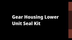 5007987 Outboard Lower Unit Seal Kit for Johnson Evinrude 15-30HP