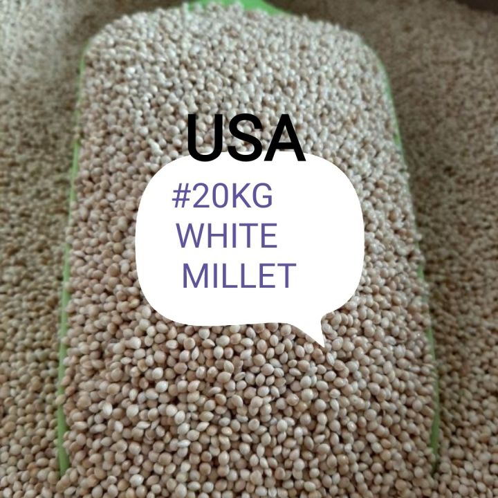 (1Gunny) USA White Millet Bird Feed Food 20kg Lazada