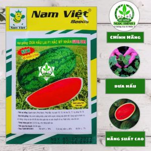 (Gói 550 hạt) Hạt Giống Dưa Hấu Lai F1 Hắc Mỹ Nhân Super 389 NAM VIỆT