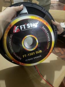FT-1501SUB PROFESSIONAL SPEAKER