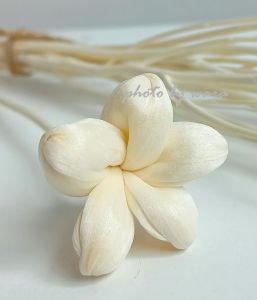 *ซื้อ 2 ลด 20%* ดอกไม้ดูดน้ำหอม 1 ดอก+ก้านไม้งา 10 ก้าน (7นิ้ว) ดอกโสน ตกแต่งบ้าน ปรับอากาศ