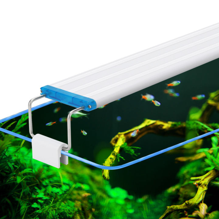 Seven Master Slim Aquarium Fish Tank LED Blue And White Light And White ...
