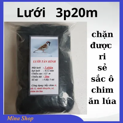 Lưới tàn hình cao cấp 20m lỗ 3 phân – Ngăn chặn ri sẻ sắc ô vành khuyên hiệu quả