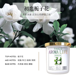 [SG STOCK]Fragrance Gel 190g| 120-180 Days |Flameless Room Air Freshener for Bedroom Living Room Car Office Home