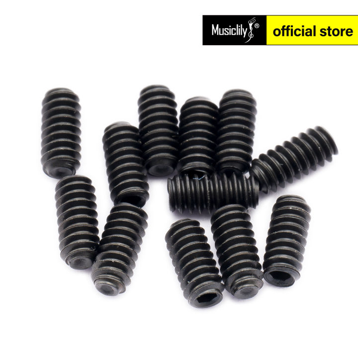 Jeu De 6 Micros Double Bobinage à Face Zébrée Pour Guitare - Instruments De Musique