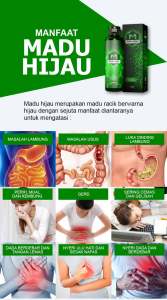 MADU HIJAU DEMAK UNTUK LAMBUNG KRONIS Madu Lambung Gerd Madu Lambung Kronis Demak