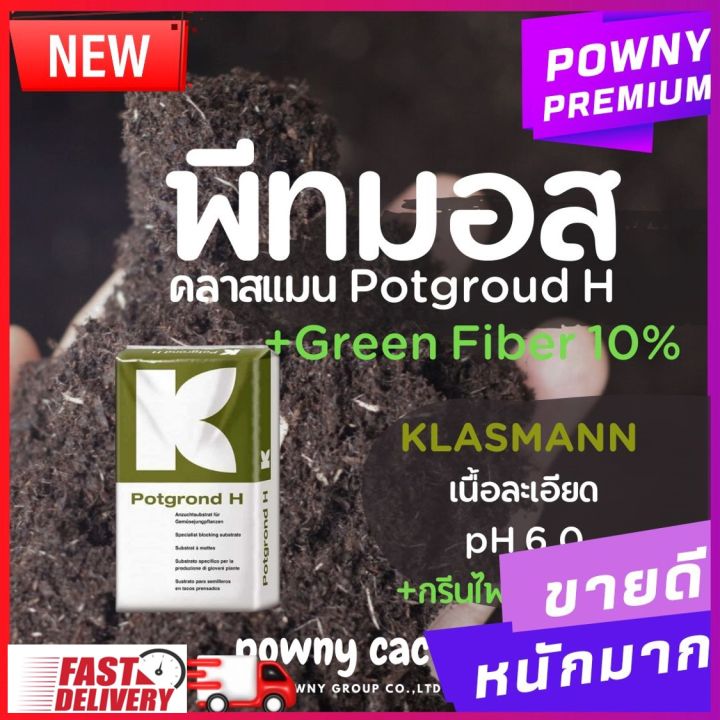 10 อันดับดินปลูกและวัสดุเพาะปลูกยอดนิยม 2026 เลือกแบบไหนให้เหมาะกับต้นไม้ของคุณ?