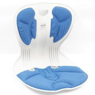 Curble Curble Chair (Korea): Good Posture | Back Support | Lumbar Support ...
