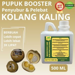 Pupuk Pelebat Kolang-kaling / Pupuk Kolang Kaling / Booster Kolang Kaling / Pupuk Kolang Kaling