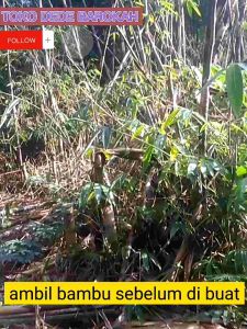 tirai bambu / kere bambu / wide gulung