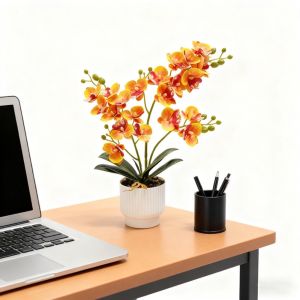 SZXBOGS Đa Hoa Lan Hồ Điệp Giả Tự làm Chậu hoa màu trắng Cây giả nhân tạo Hoa giả Cây Lan Bonsai Nhân Tạo Trang trí nhà cửa