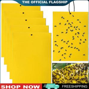 [ZENLEA6]แผ่นดักแมลงหวี่และแมลงวันผลไม้คุณภาพสูง 30/50/100 ชิ้น แบบสองด้าน ขนาด 8x6 นิ้ว สำหรับใช้ในสวนและบ้าน