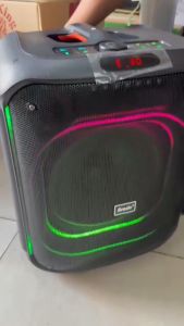 Brodu BTS-2187 12” RGB Karaoke Speaker with 2 Wireless Mic TWS Bluetooth Party Speaker