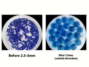 1 kg waterbeads bola jelly Orbezz mainana anak tanaman air Dekorasi Rumah Jellyball jeli ball