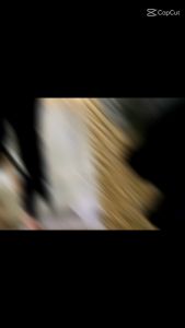 LEGGING POLOS IMPORT WANITA SKR/LEGGING OLAHRAGA/CELANA JOGGING/CELANA LEGGING