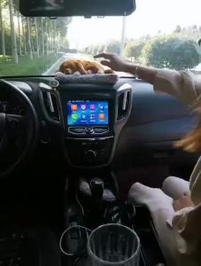 Singee Car Accessories Cute Kittens Style Bamboo Charcoal Car Air Purifier Remove Odor and Foul Smell In Vehicle