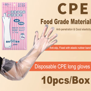 【 In Stock 】Disposable Extended Housework Gloves Food Grade Gloves Waterproof And Thickened Kitchen Dishwashing Cleaning Gloves Sarung Tangan Lanjutan Pakai Buang一次性加长手套